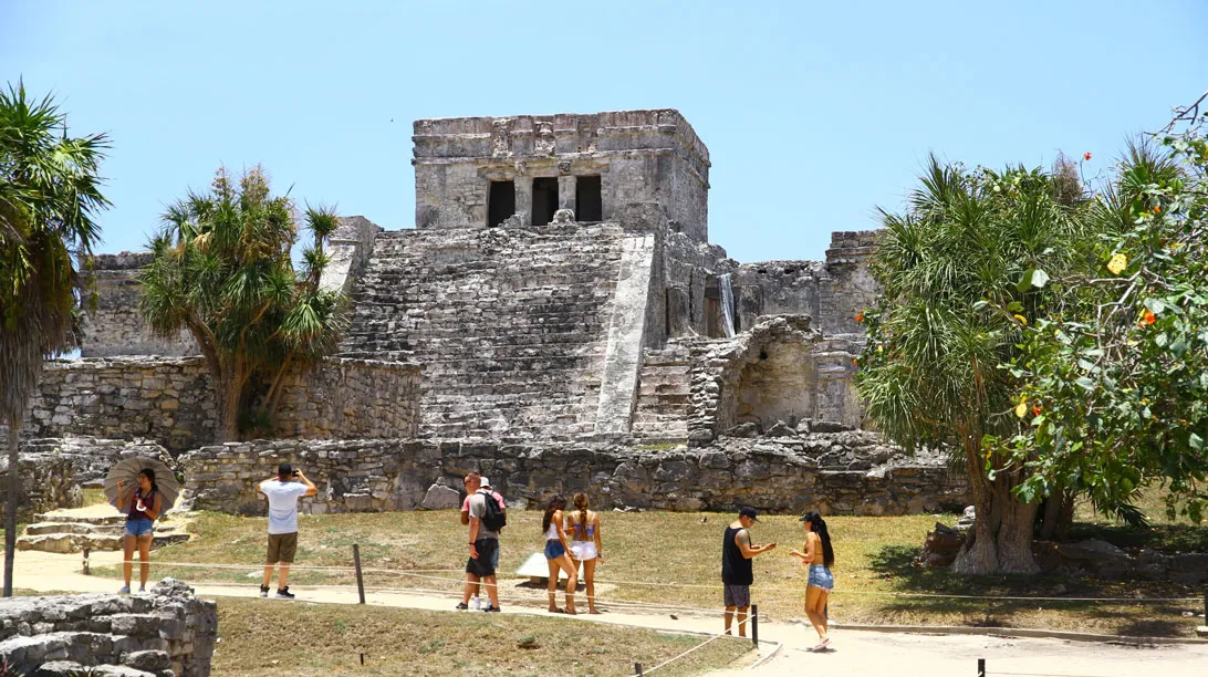 Nado con tortugas más Tulum