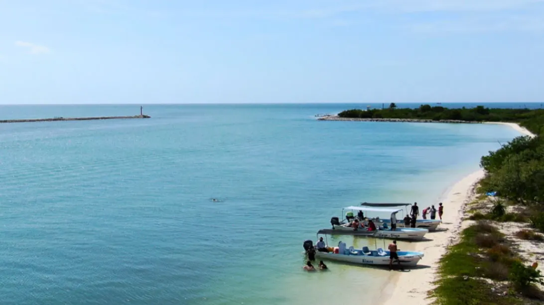 Rio lagartos - Las coloradas