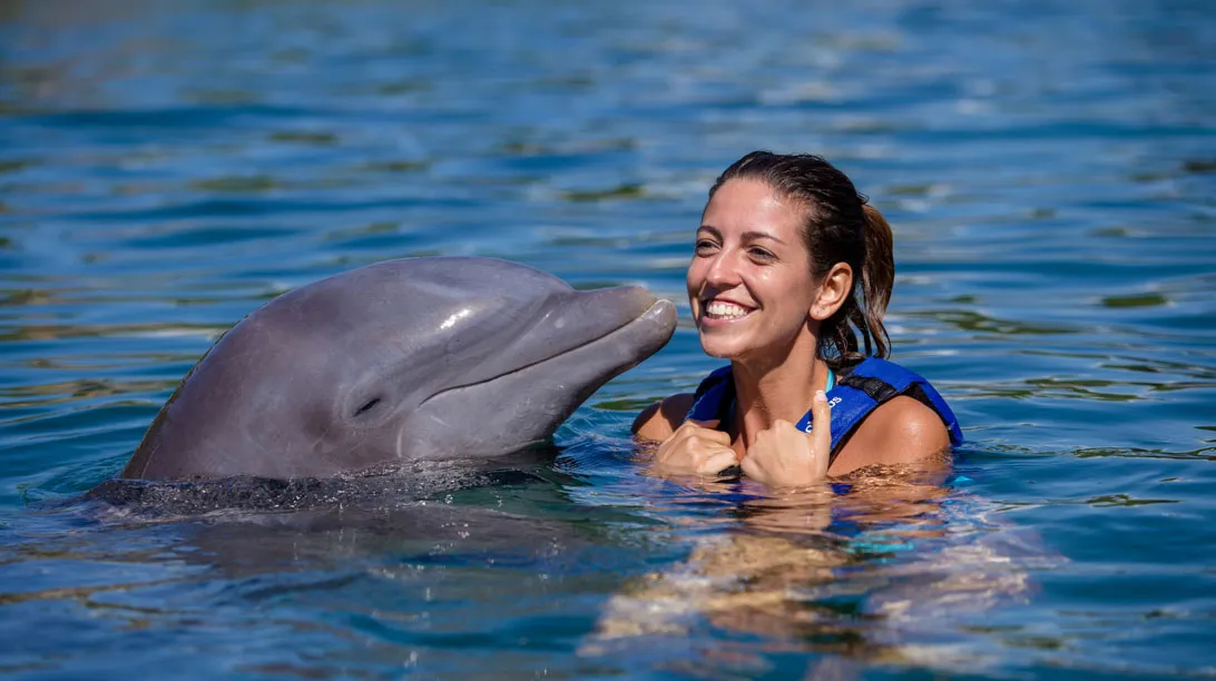 DOLPHINCLUSIVE PREMIUM + XEL HA