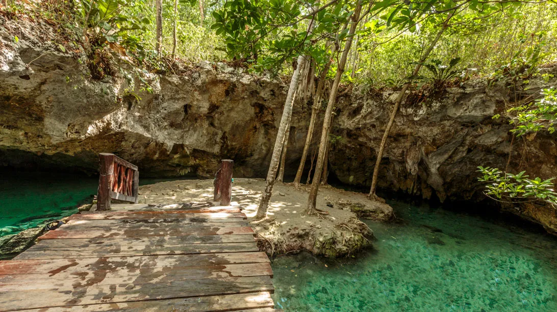 Cenote y nado con tortugas express