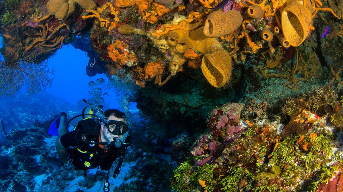 BUCEO 2 TANQUES ( PARA BUZOS CERTIFICADOS)