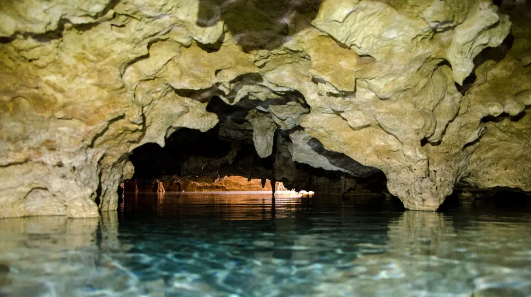 CENOTES EXPRESS (4 CENOTES)