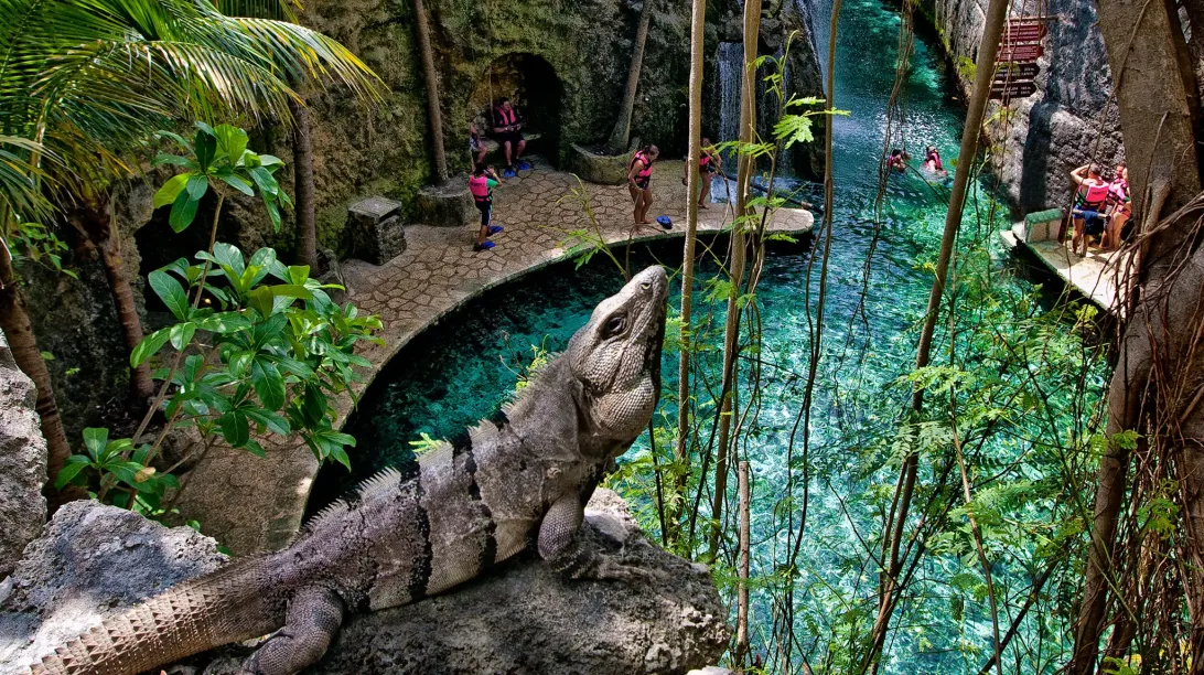 Combo Xcaret Plus + Xplor Día: 2 Parques con 20% de Descuento