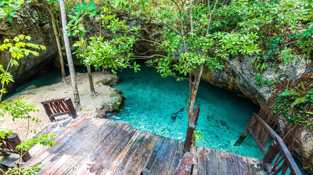 Cenote y nado con tortugas express