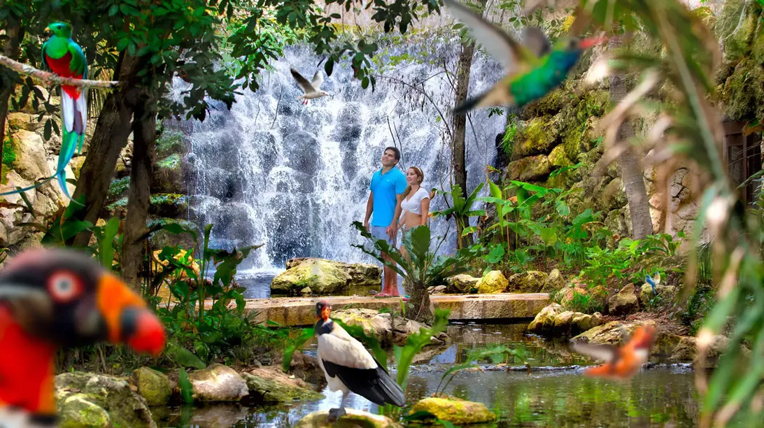 XCARET PLUS ENTRANCE FEES ONLY