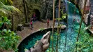 XCARET OR XPLOR  PRIVATE TRANSFER