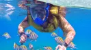 Atvs extreme and snorkeling tour