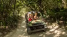 Xplor All Inclusive Day Tour | Cancun Adventure Park
