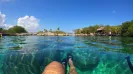 Mayan Adventure Snorkel (3 Ecosistemas)