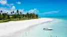 Tour Holbox