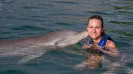 DELPHINUS DOLPHINCLUSIVE RIDE + XEL HA