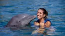 DOLPHINCLUSIVE PREMIUM + XEL HA