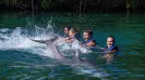 DOLPHINCLUSIVE PREMIUM + XEL HA