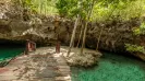 Cenote y nado con tortugas express