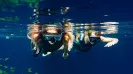 XENOTES TOUR ( 4 CENOTES)