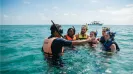 Certified guide for whale shark snorkel in Cancun