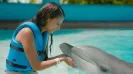 AQUARIO CANCUN DELPHINUS INTERAX