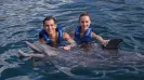 Swim with dolphins couple special promo