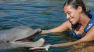 DELPHINUS DOLPHINCLUSIVE RIDE + XEL HA