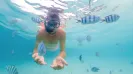 Snorkel en Arrecife Cancun