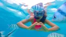 Snorkel en Arrecife Cancun