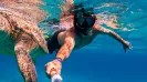 Sea Turtle snorkel express