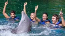 DOLPHINCLUSIVE NON SWIMMER