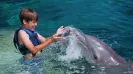 AQUARIUM CANCUN SPLASH PROGRAM