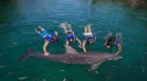 DOLPHINCLUSIVE INTERAX + XEL HA