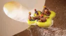 Special combo Xcaret, Xelha and Xplor day tour