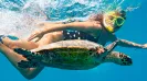 Sea Turtle snorkel express