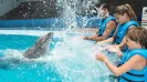 AQUARIUM CANCUN SPLASH PROGRAM