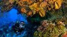 BUCEO 2 TANQUES ( PARA BUZOS CERTIFICADOS)