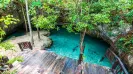 Cenote y nado con tortugas express