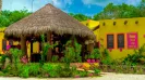 Mexican Culinary Experience Mexico Lindo