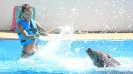 AQUARIUM CANCUN SPLASH PROGRAM