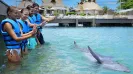 AQUARIUM CANCUN SPLASH PROGRAM