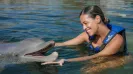 DOLPHINCLUSIVE NON SWIMMER