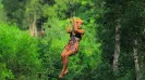 Tulum extreme, ziplines, rappel and cave