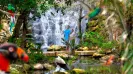 XCARET PLUS ENTRANCE FEES ONLY