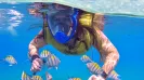 Mayan Adventure Snorkel (3 Ecosystems)