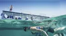 PARADISE ADVENTURE SUBSEE + SNORKEL