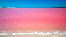 Rio lagartos - Las coloradas