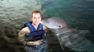 Swim with dolphins couple special promo