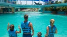 CANCUN AQUARIUM DELPHINUS PREMIUM