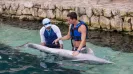 DOLPHINCLUSIVE PREMIUM + XEL HA