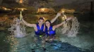 UNDERWATER WORLD TURTLES
