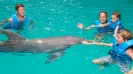 CANCUN AQUARIUM DELPHINUS PREMIUM