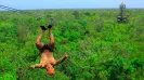 Tulum extreme, ziplines, rappel and cave
