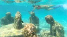 Cancun Jungle Tour: The Ultimate Family Water Adventure